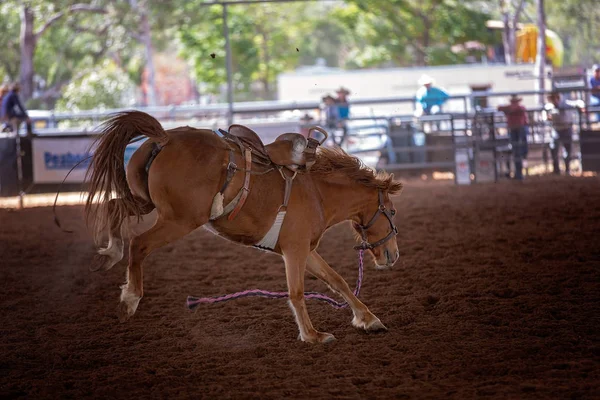 Binicisiz bucking bronco at kapalı ülke Rodeo