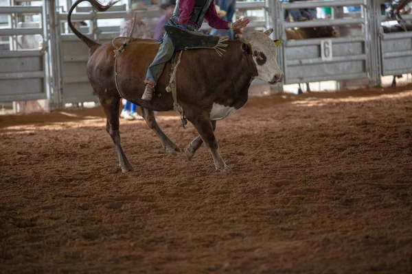 Cowboy Riding Bakugrás Bull Egy Fedett Ország Rodeo — Stock Fotó