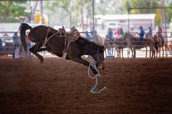 Reiterlos Ruckelndes Bronco Pferd Beim Indoor Country Rodeo — Stockfoto