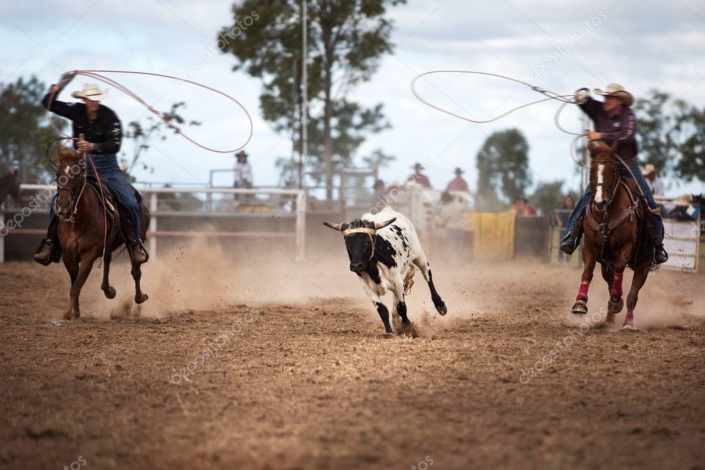 Two cowboys on horseback coping a calf at a country rodeo