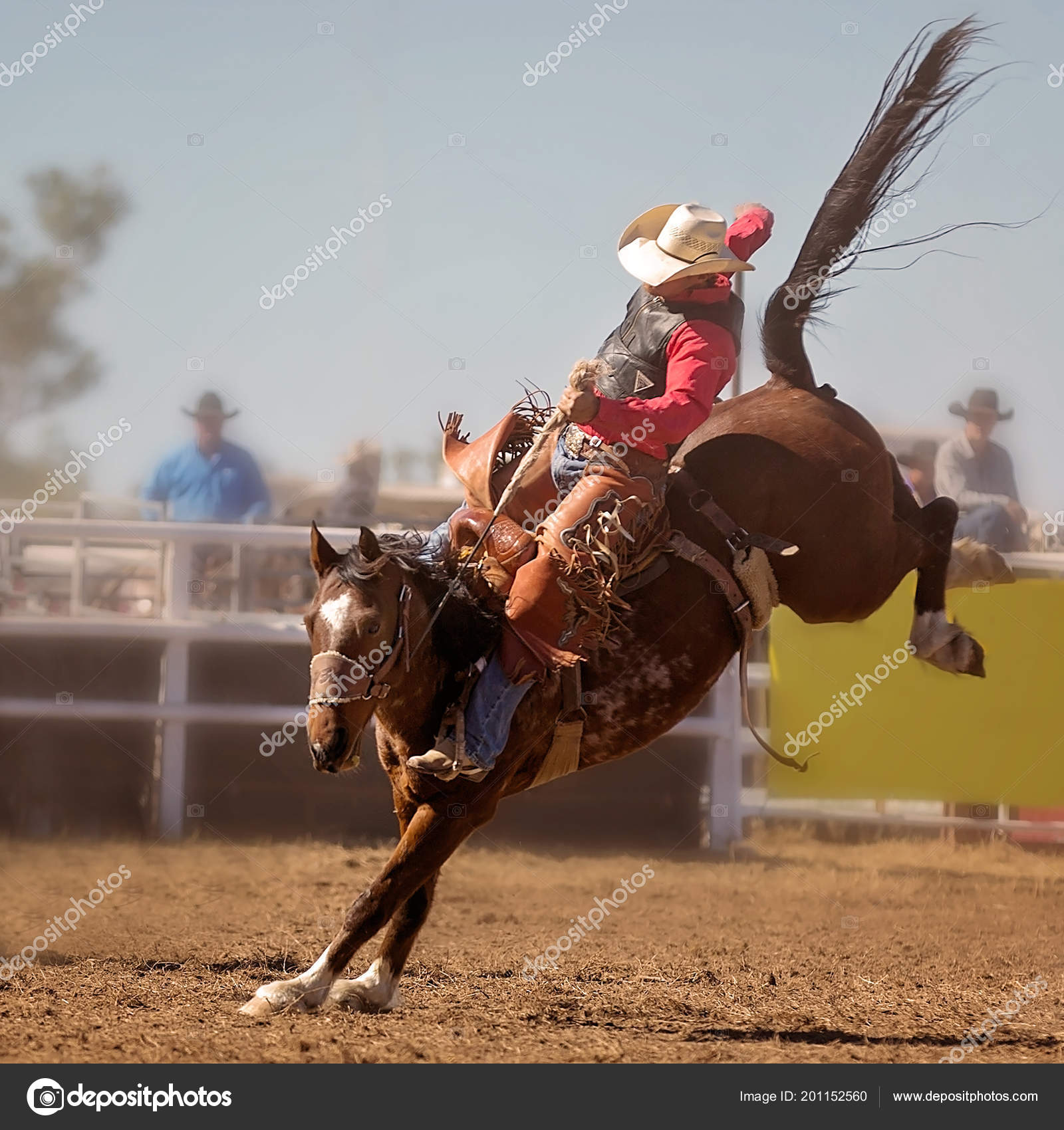 Bir kovboy eyer bronc olay bir ülke Rodeo bucking at sürmek.