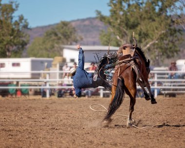 Bir bucking at eyer bronc olay bir ülke Rodeo kapalı bir kovboy düşüyor