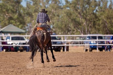 Eyer bronc olay bir ülke Rodeo bucking at binme bir kovboy
