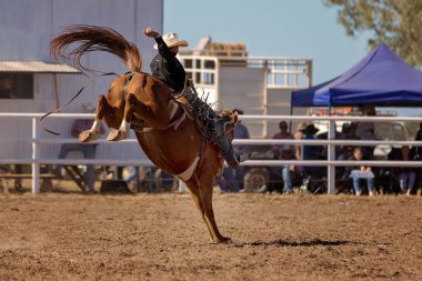 Eyer bronc olay bir ülke Rodeo bucking at binme bir kovboy
