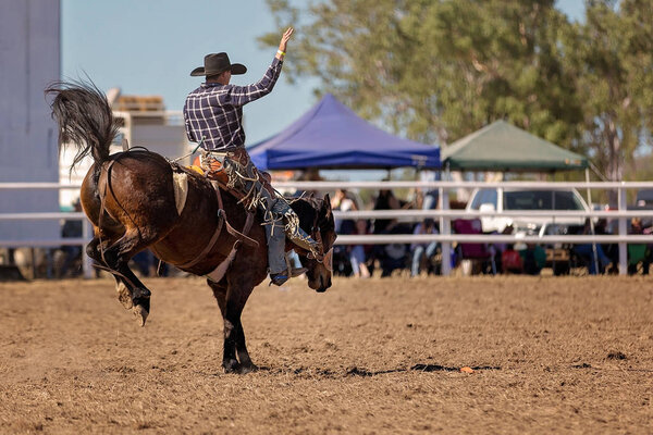 Ковбой, скачущий верхом на лошадях на лошадях на деревенском родео

