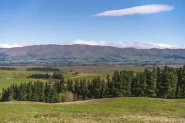 Yeşil tepelerin haddeleme ön planda, bir çam ormanının ortasında ve içinde belgili tanımlık geçmiş bir dağ manzarası