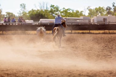Bir kovboy rodeo tozlu arenada rekabet hazırlanması bir kampında bir buzağı yukarıya yuvarlar