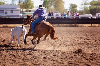 Bir kovboy rodeo tozlu arenada rekabet hazırlanması bir kampında bir buzağı yukarıya yuvarlar