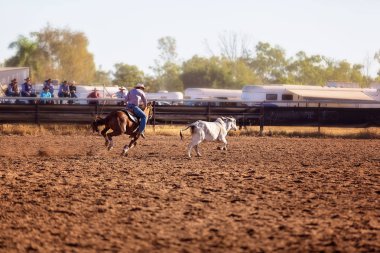 Bir kovboy rodeo tozlu arenada rekabet hazırlanması bir kampında bir buzağı yukarıya yuvarlar