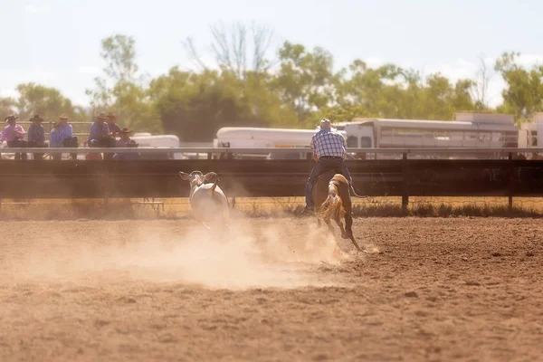A cowboy rounds up a calf at a camp drafting competition in the dusty arena of a rodeo