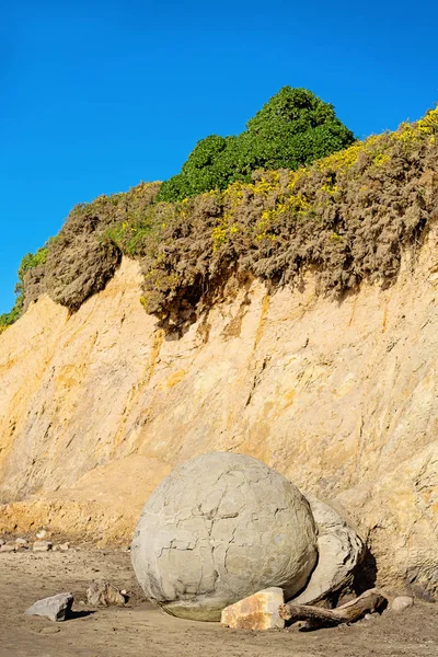 Den Runda Formen Moeraki Boulder Otago Kusten Nya Zeeland — Stockfoto