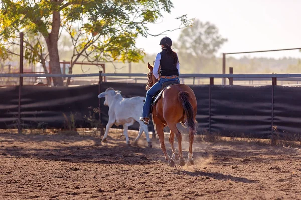 A cowboy rounds up a calf at a camp drafting competition in the dusty arena of a rodeo