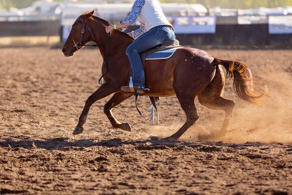 Close up of a horse and cowboy competing in a camp draft event in the dusty arena of a rodeo