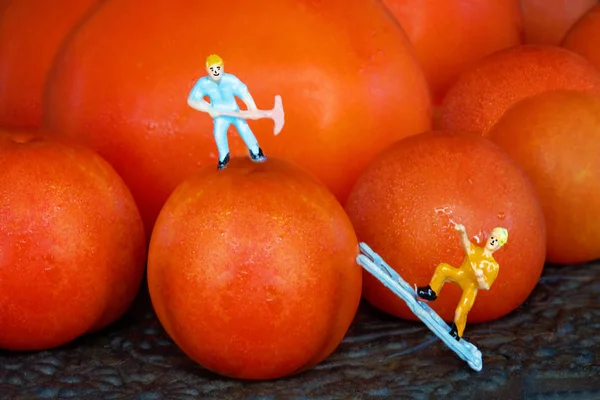 A tiny miniature male worker figure with a pick standing on top of a cherry tomato while another tiny miniature worker climbs a ladder