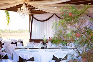 Bir tema için bir şekilde dekore edilmiş kurmak düğün Resepsiyon Masa