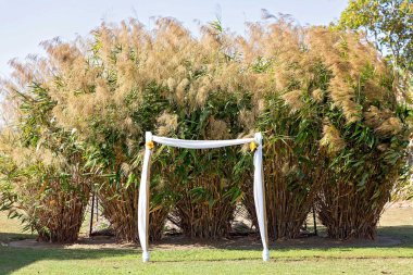 Romantik açık evlilik töreni kurmak