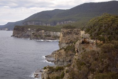 Cliffs Tasmania kayalık kıyı şeridi boyunca