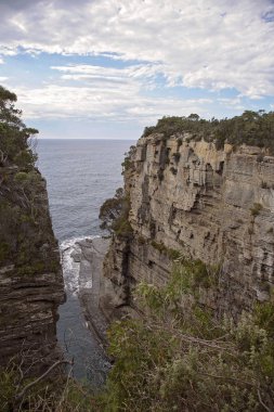 Cliffs Tasmania kayalık kıyı şeridi boyunca