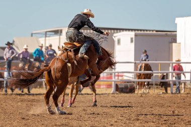 Kovboy ülke Rodeo bir yarışmada bucking bir bronco Binicilik