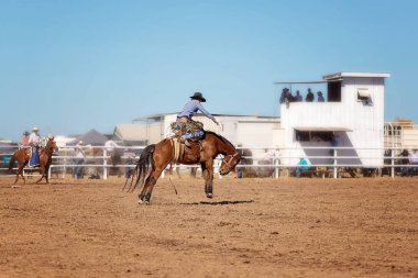 Kovboy ülke Rodeo bir yarışmada bucking bir bronco Binicilik