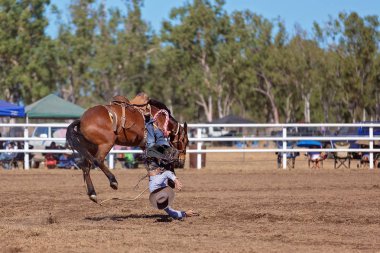Kovboy ülke Rodeo bir yarışmada bucking bir bronco Binicilik