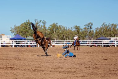 Kovboy ülke Rodeo bir yarışmada bucking bir bronco Binicilik