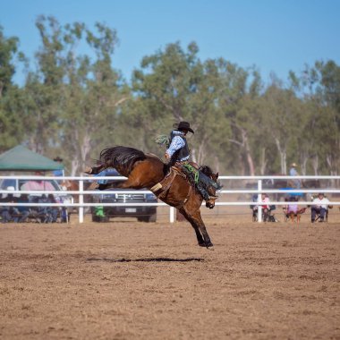 Kovboy ülke Rodeo bir yarışmada bucking bir bronco Binicilik