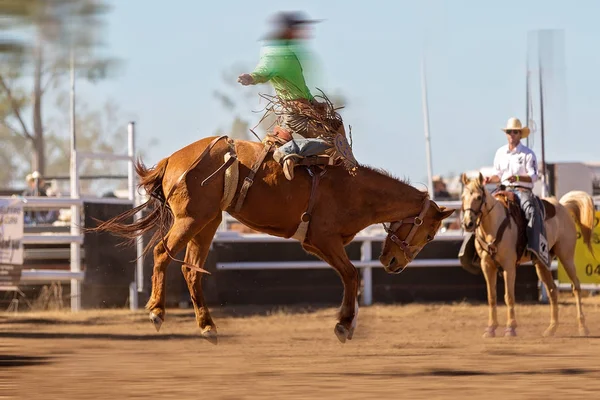 Vaquero Montando Caballo Bronco Una Competición Rodeo Campestre —  Fotos de Stock