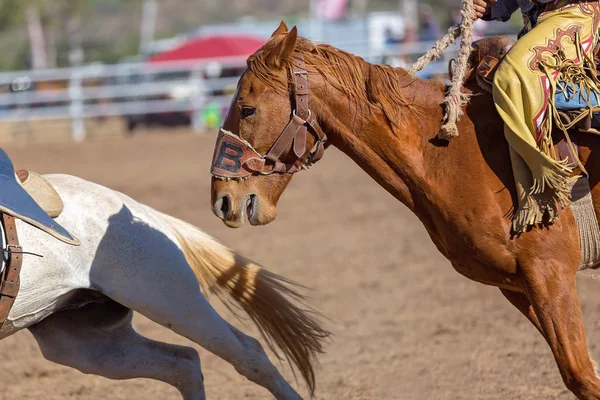 Close Up Of A Bucking Horse Being Ridden In A Competition In A Country Rodeo