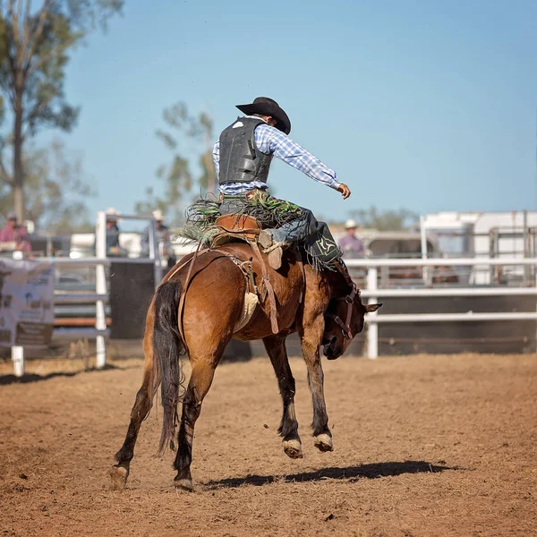 Kovboy Ülke Rodeo Bir Yarışmada Bucking Bir Bronco Binicilik — Stok fotoğraf