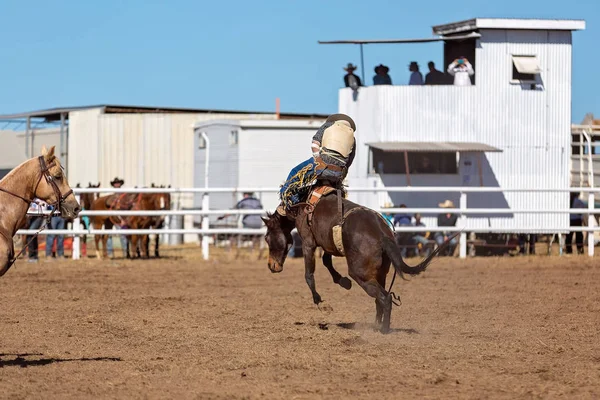 Vaquero Montando Caballo Bronco Una Competición Rodeo Campestre —  Fotos de Stock