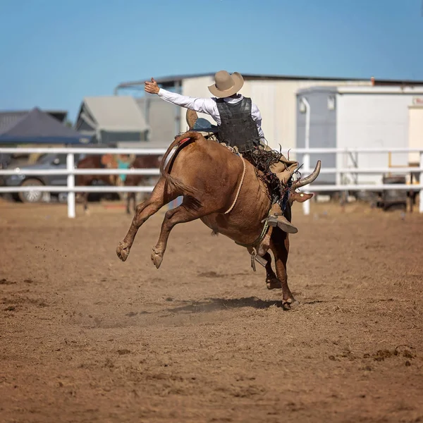 Vaquero Montando Toro Una Competición Rodeo Campestre —  Fotos de Stock