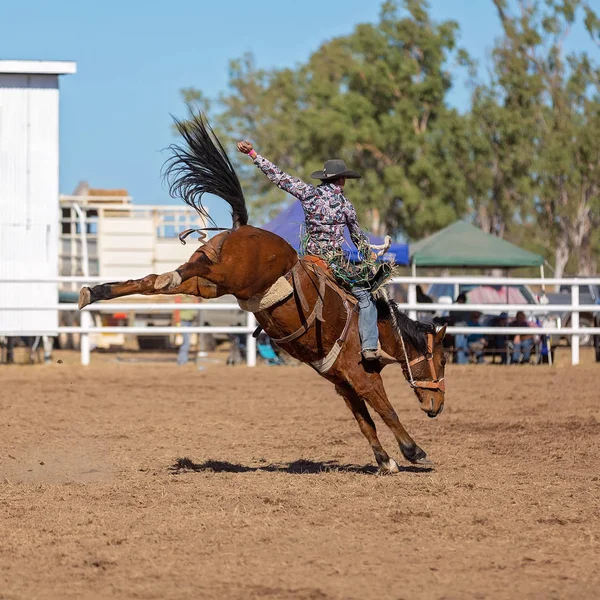 Cowboy Ridning Bucking Bronco Häst Tävling Land Rodeo — Stockfoto