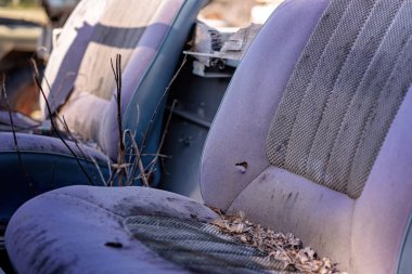 Close up of old wrecked seats of an abandoned car clipart