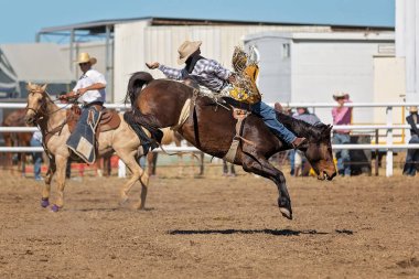 Kovboy rodeo rekabet Avustralya'da bir bucking bronc Binicilik