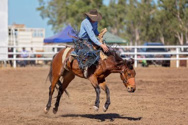 Kovboy rodeo rekabet Avustralya'da bir bucking bronc Binicilik