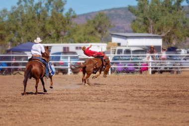 Kovboy rodeo rekabet Avustralya'da bir bucking bronc Binicilik