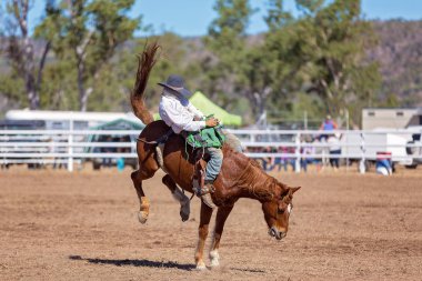 Kovboy rodeo rekabet Avustralya'da bir bucking bronc Binicilik