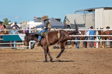 Kovboy rodeo rekabet Avustralya'da bir bucking bronc Binicilik