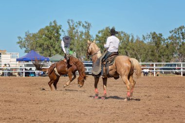 Kovboy rodeo rekabet Avustralya'da bir bucking bronc Binicilik