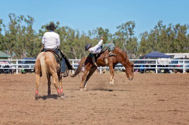 Kovboy rodeo rekabet Avustralya'da bir bucking bronc Binicilik