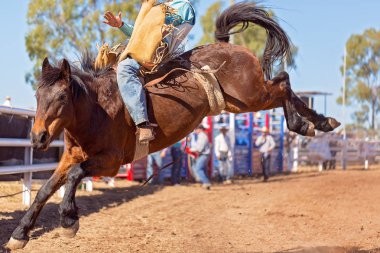 Kovboy rodeo rekabet Avustralya'da bir bucking bronc Binicilik