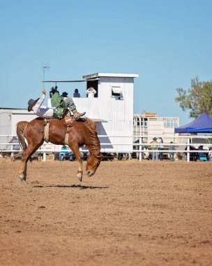 Kovboy rodeo rekabet Avustralya'da bir bucking bronc Binicilik