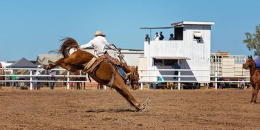 Kovboy rodeo rekabet Avustralya'da bir bucking bronc Binicilik