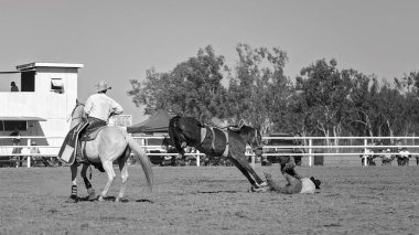 Kovboy rodeo rekabet Avustralya'da bir bucking bronc Binicilik