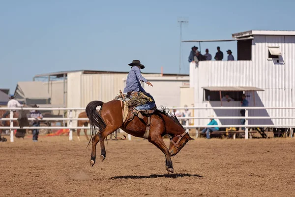 Kovboj Koni Vzpínajícího Koně Bronc Soutěži Rodeo Austrálii — Stock fotografie