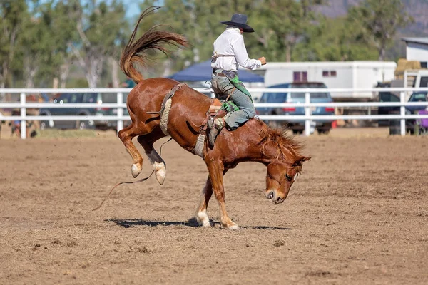 Cowboy Reitet Auf Einem Ruckelnden Bronzefarbenen Pferd Bei Einem Rodeo — Stockfoto