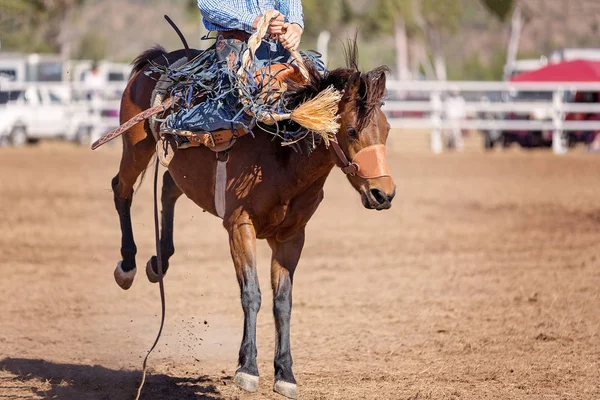 Cowboy Riding Bucking Bronc Horse Rodeo Competition Australia — Stock Photo, Image