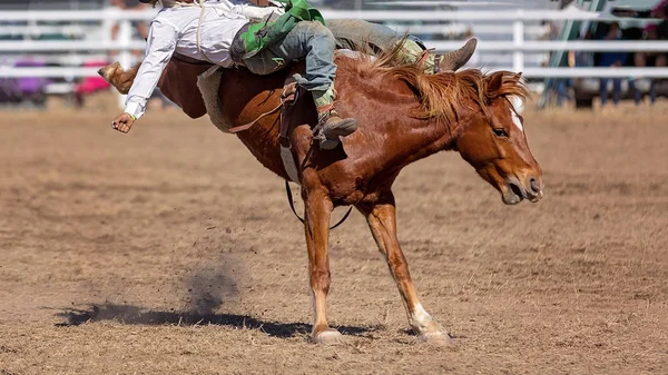 Cowboy Berijden Van Een Bucking Bronc Paard Een Rodeo Competitie — Stockfoto