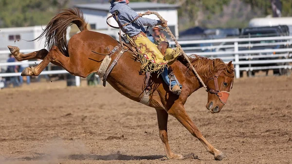 Cowboy Chevauchant Cheval Bronc Bucking Dans Une Compétition Rodéo Australie — Photo
